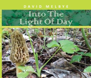 Melbye CD Cover